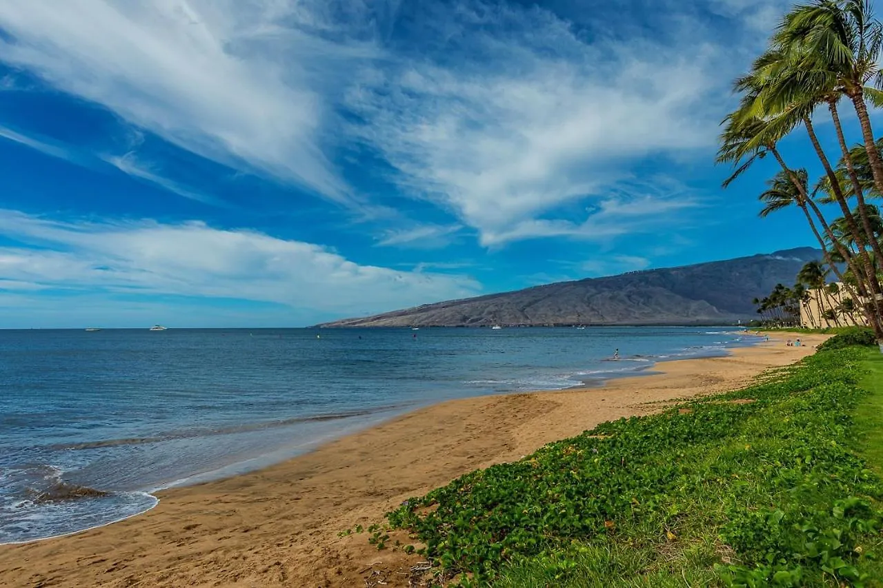 Maalaea Surf G8 Condo Kihei Apartment