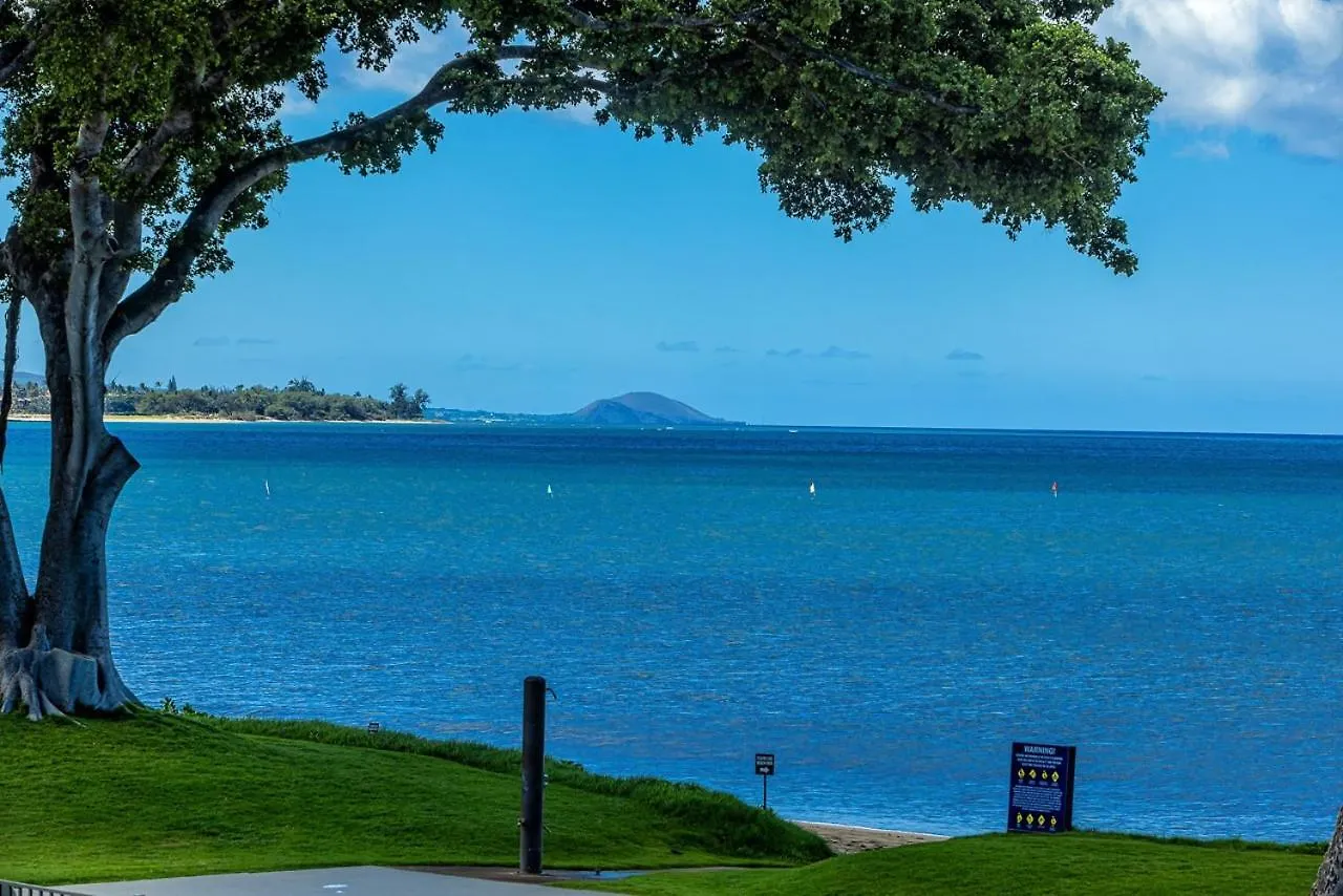 Maalaea Surf G8 Condo Kihei Apartment